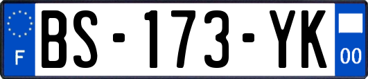 BS-173-YK