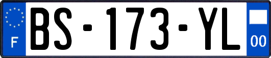 BS-173-YL