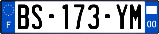 BS-173-YM
