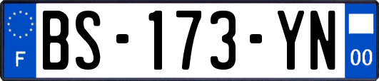 BS-173-YN