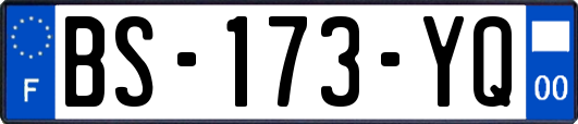 BS-173-YQ