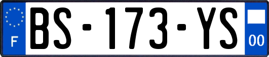 BS-173-YS