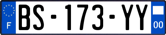 BS-173-YY