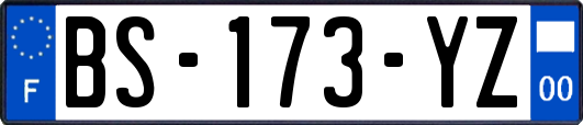BS-173-YZ
