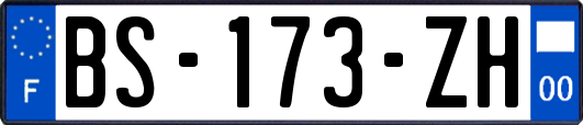 BS-173-ZH