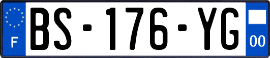 BS-176-YG
