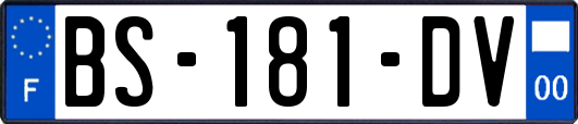 BS-181-DV