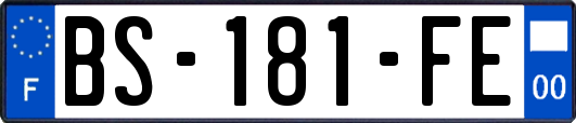 BS-181-FE