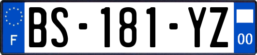 BS-181-YZ