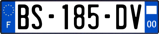 BS-185-DV