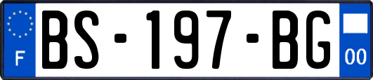 BS-197-BG