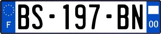 BS-197-BN