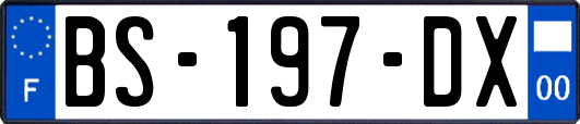 BS-197-DX