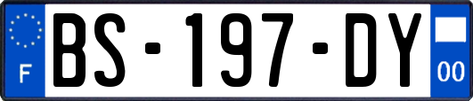 BS-197-DY