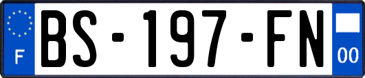 BS-197-FN