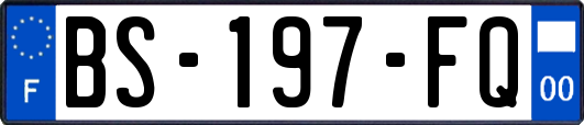 BS-197-FQ