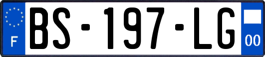 BS-197-LG