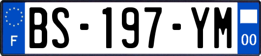 BS-197-YM