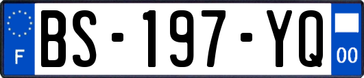 BS-197-YQ