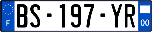 BS-197-YR