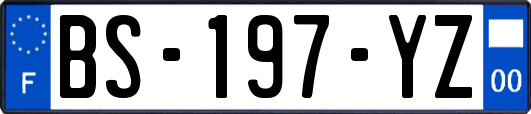 BS-197-YZ