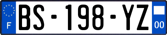 BS-198-YZ