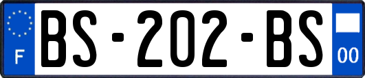 BS-202-BS