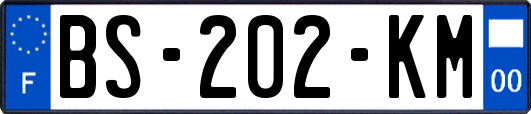 BS-202-KM