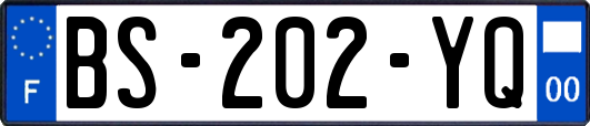 BS-202-YQ