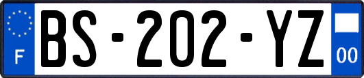 BS-202-YZ