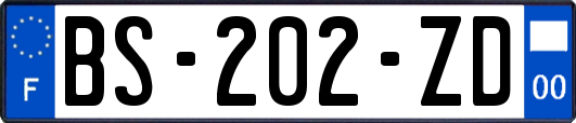 BS-202-ZD