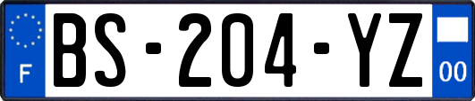BS-204-YZ