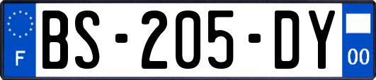 BS-205-DY