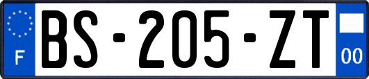 BS-205-ZT