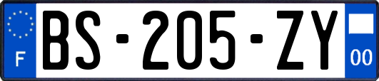 BS-205-ZY