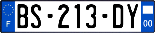 BS-213-DY