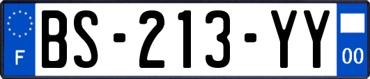 BS-213-YY
