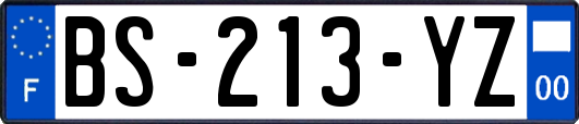 BS-213-YZ