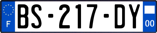 BS-217-DY