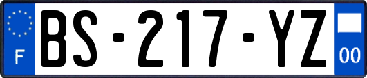 BS-217-YZ