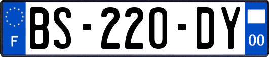 BS-220-DY