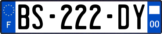 BS-222-DY