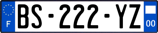 BS-222-YZ