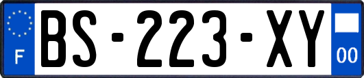 BS-223-XY