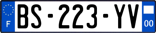 BS-223-YV