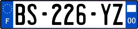 BS-226-YZ