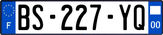 BS-227-YQ