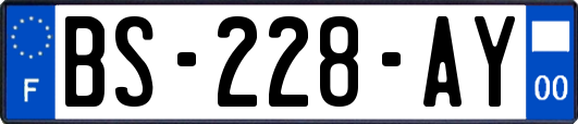 BS-228-AY