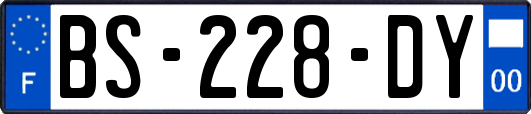 BS-228-DY