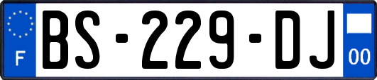 BS-229-DJ